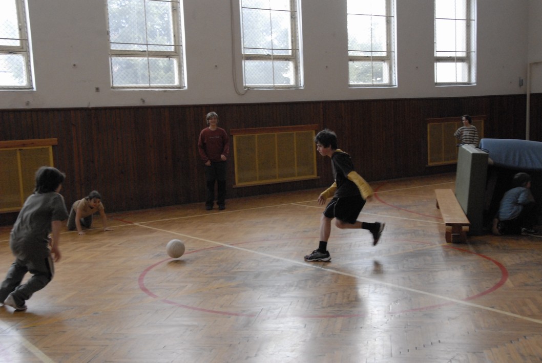 013 Expedice GEMINI 2010